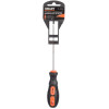 Отвертка Gigant SL 5x100 с магнитным наконечником GS SL5100