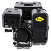 Двигатель бензиновый четырехтактный DDE 173F-Q19 NEW