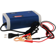 Инверторное зарядное устройство Диолд ИЗУ-6 30020010