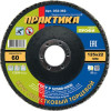 Круг лепестковый шлифовальный ПРАКТИКА 125 х 22 мм Р 60 (1шт.) серия Профи 032-362