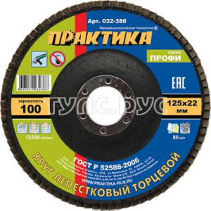 Круг лепестковый шлифовальный ПРАКТИКА 125 х 22 мм Р100 (1шт.) серия Профи 032-386